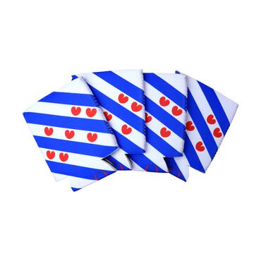 Can Coolers Friesland Flag for 33cl Cans front view