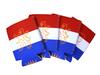 Can cooler flag Netherlands front view